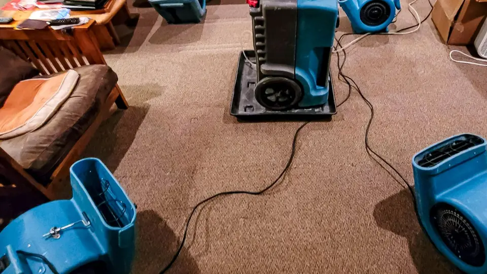 Air movers running on carpet after standing water was removed