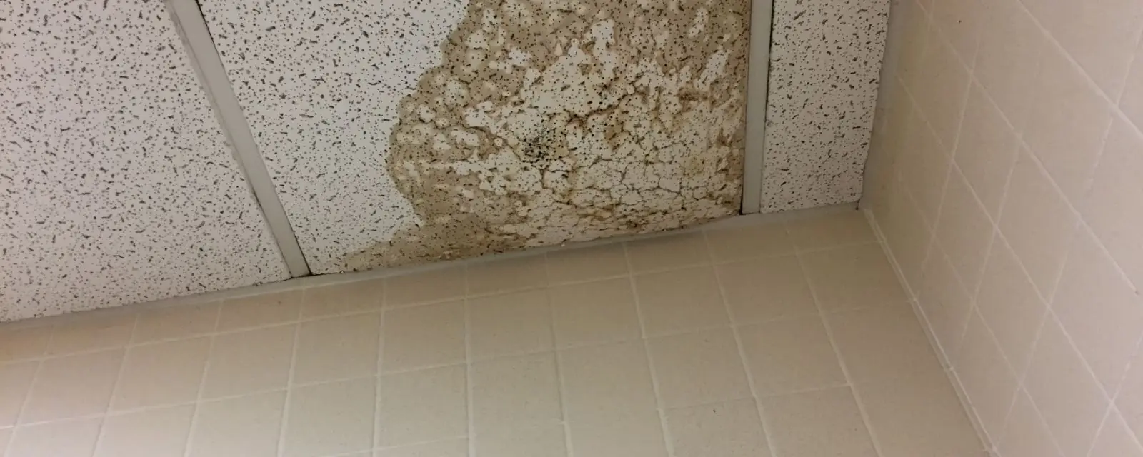 Water stained ceiling tile above a tiled wall