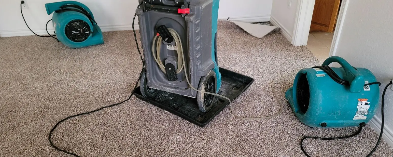Dehumidifier and air movers drying a carpeted room