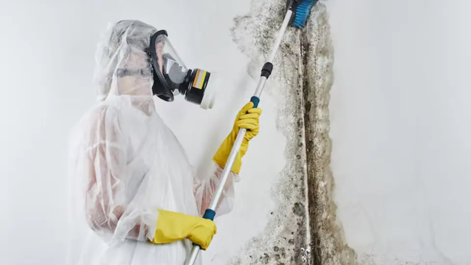 Worker in a respirator and white suit treating a mold covered wall