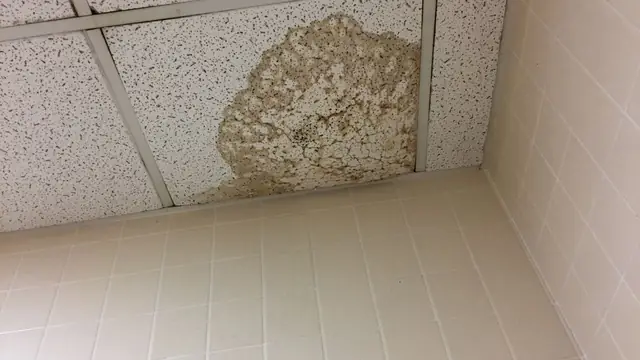 Water stained ceiling tile above a tiled wall