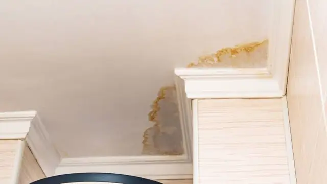 Water stain on a ceiling corner above crown molding