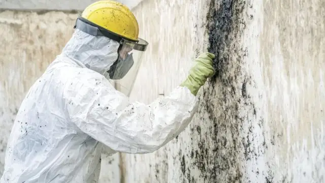Worker in a hard hat and protective suit scrubbing black mold from a wall