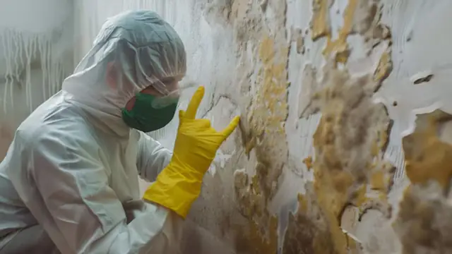 Technician in a protective suit and mask inspecting a mold stained wall