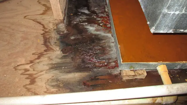 Wood flooring buckled and stained after water damage
