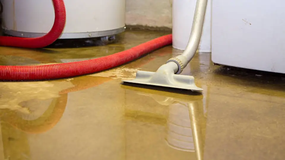 Wet vacuum wand extracting water from a floor