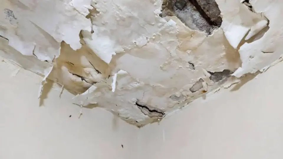 Ceiling with peeling paint and a water stain that needs repair